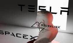 Featured image of post FTC izinkan Musk akuisisi Mesh, startup alumni SpaceX yang baru muncul