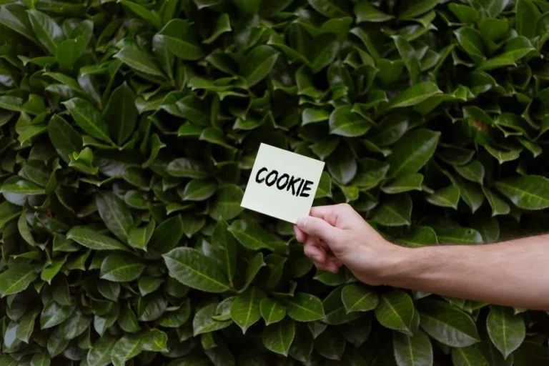 Cookie First-Party vs. Third-Party: Apa Bedanya Sih?