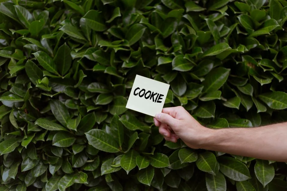 Cookie First-Party vs. Third-Party: Apa Bedanya Sih?